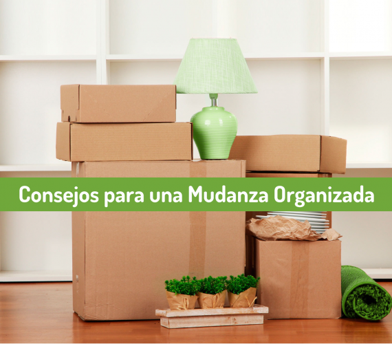 mundaza organizada Planetacasa