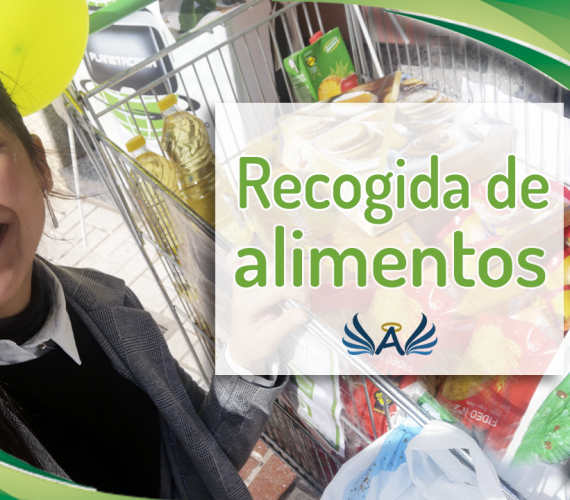 iniciativa solidaria planetacasa Recogida de Alimentos angeles de la noche malaga