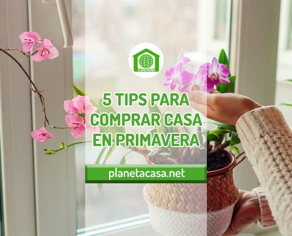 5 TIPS PARA COMPRAR CASA EN PRIMAVERA