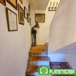 FINCA RUSTICA EN CARTAMA (7)